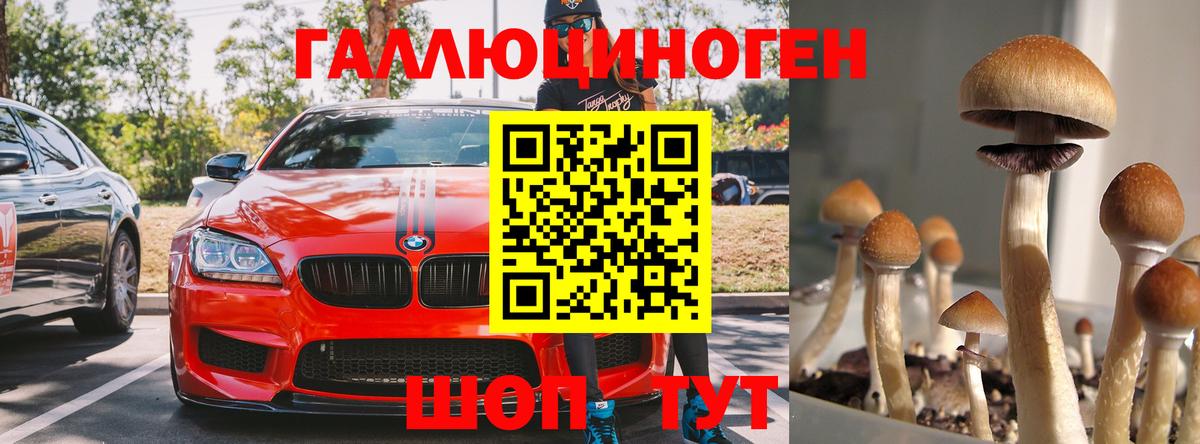 Галлюциногенные грибы GOLDEN TEACHER  Псилоцибиновые грибы ЛСД  Северобайкальск  Вход с VPN 